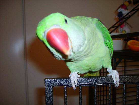 Image Image